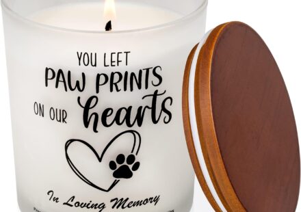 Emma Harrison Ambler PA Death Obituary - Upper Dublin Township Gwynedd Mercy University Student Passed Away